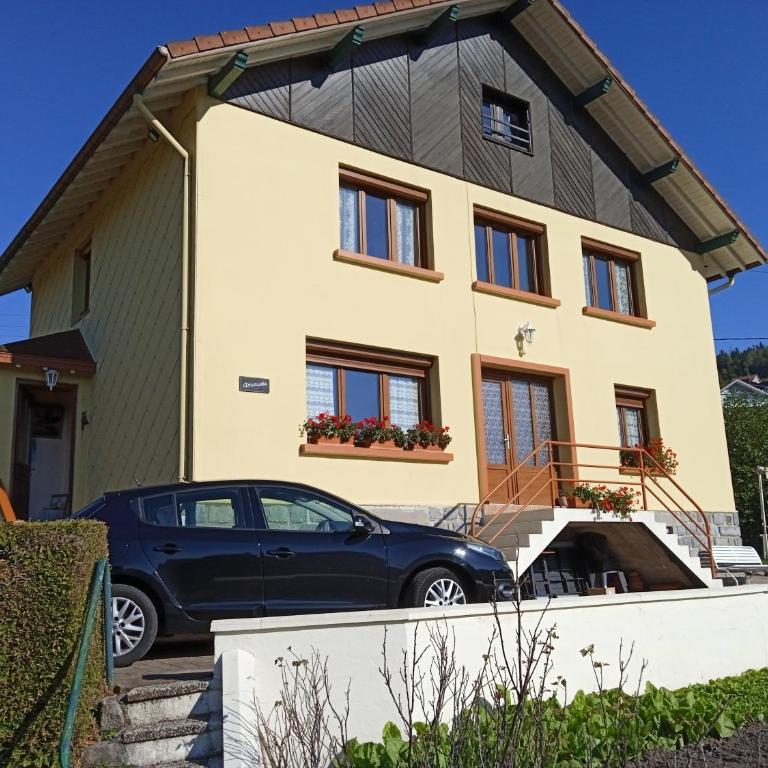 Appartement Amonidée proche du lac de Gérardmer - Appartement - 25