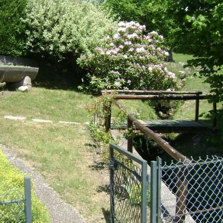 Appartement Amonidée proche du lac de Gérardmer - Appartement - 21