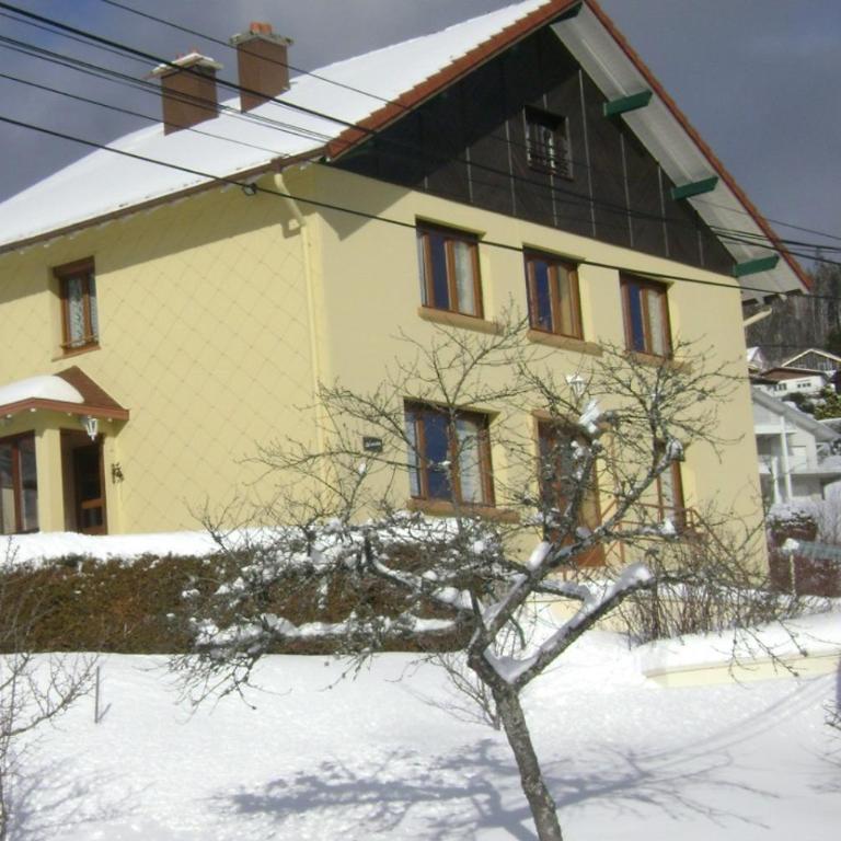 Appartement Amonidée proche du lac de Gérardmer - Appartement - 29