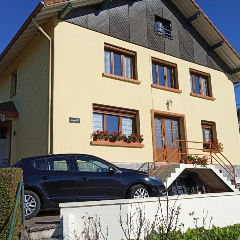 Appartement Amonidée proche du lac de Gérardmer - Appartement - 28