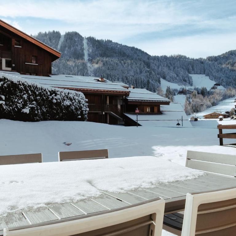 Appart 3★, 6 pers, terr. sud, centre La Clusaz, à 50m pistes, animaux admis - FR-1-304-190 - Appartamento (6 Adulti) - 11
