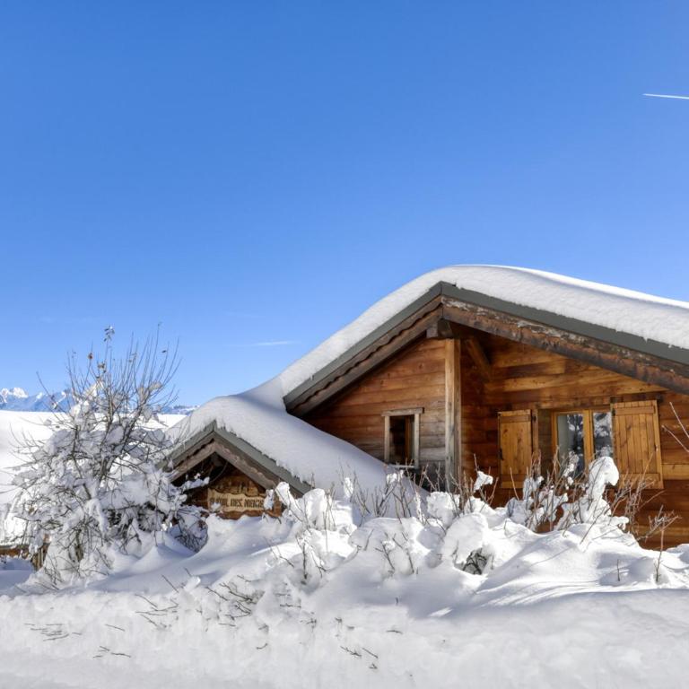 Chalet spacieux à Bisanne 1500 avec WIFI et vue spectaculaire - Chalet 3 Chambres - 16
