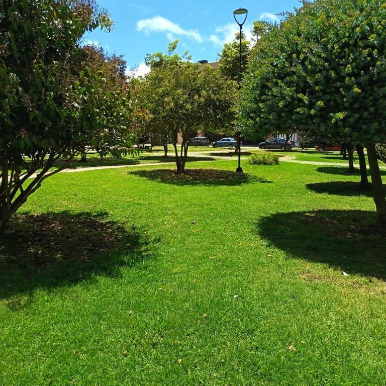 Precioso Apartamento, Completo Incluidos Servicios - Apartamento de 1 dormitorio - 47