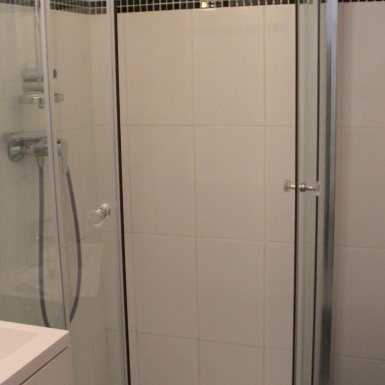Appartement cosy près des thermes, animaux acceptés - Studio - 11