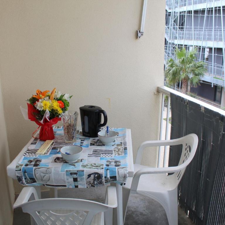 Appartement cosy près des thermes, animaux acceptés - Studio - 12