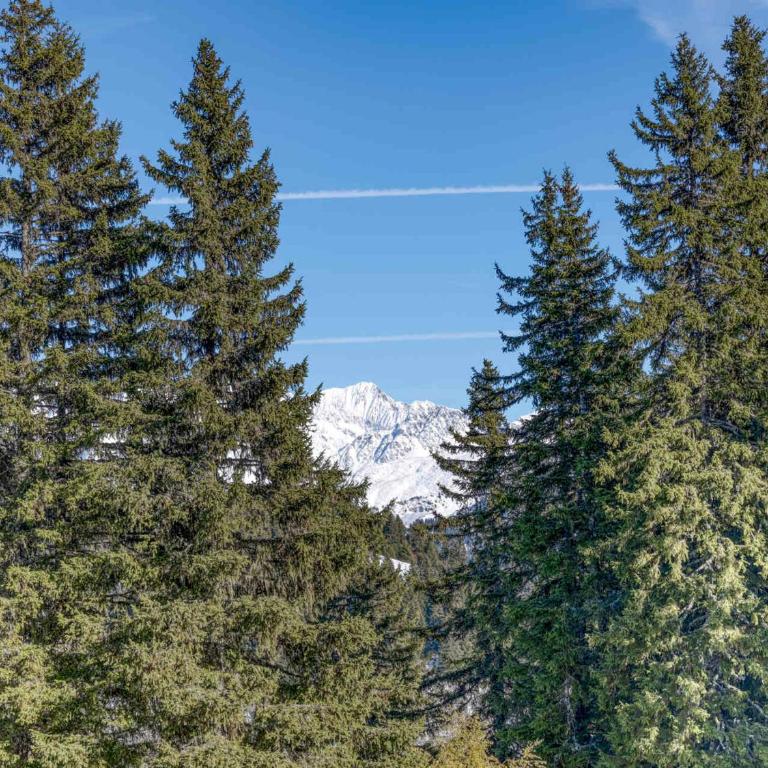 Appartement confortable à Villard-sur-Doron pour 6 personnes avec parking - Appartamento con 3 Camere da Letto - 17