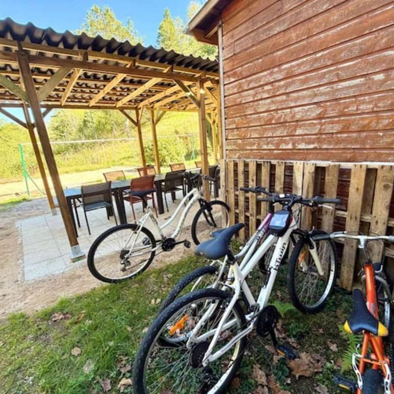 Majestic Forest - refuge paisible - 15 personnes - Chalet - 9