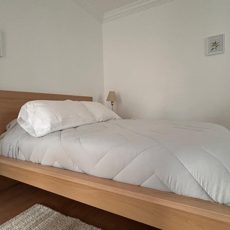 Condesa Residence Campeche 2 Spacious Ground-Level Apartment in the Heart of Condesa - Apartamento - 14