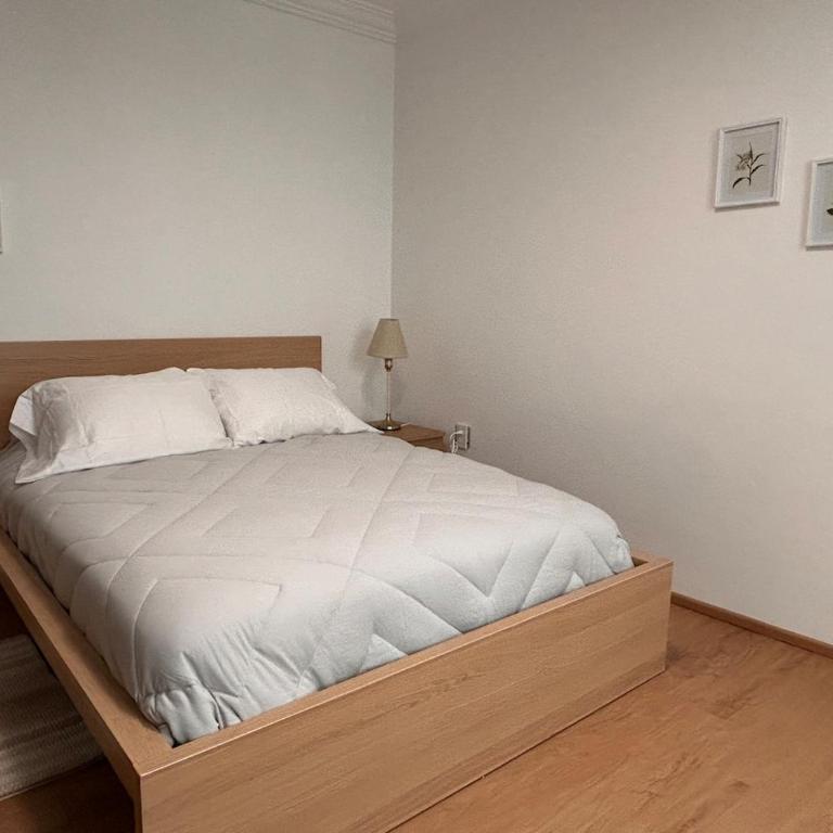 Condesa Residence Campeche 2 Spacious Ground-Level Apartment in the Heart of Condesa - Apartamento - 22