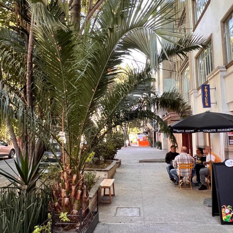 Condesa Residence Campeche 2 Spacious Ground-Level Apartment in the Heart of Condesa - Apartamento - 64