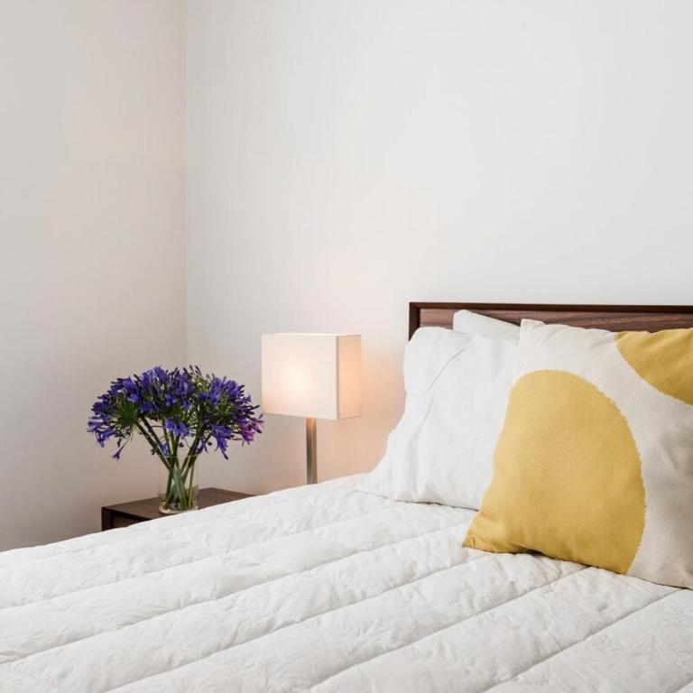 Condesa Residence Campeche 10 Amazing 2 Bedroom 1 Bathroom Oasis with Ample Room - Apartment - 3