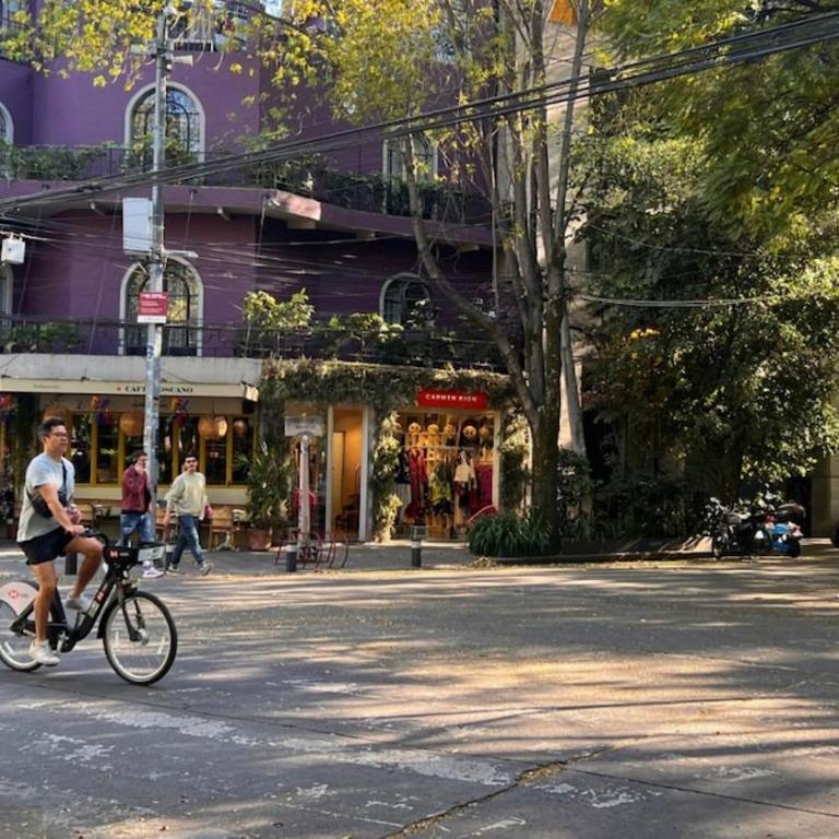 Condesa Residence Campeche 10 Amazing 2 Bedroom 1 Bathroom Oasis with Ample Room - Apartment - 20