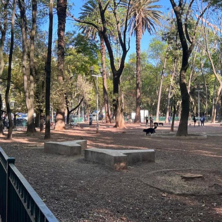 Condesa Residence 7 Stylish 2 Bedroom, 1 Bathroom Residence Accentuating Expansive Interiors - Apartment - 31