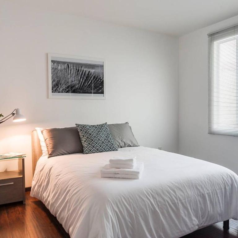 Condesa Residence Campeche 8 Urban Elegance 2BR 1BA Apartment with Large Living Areas - Apartamento - 4