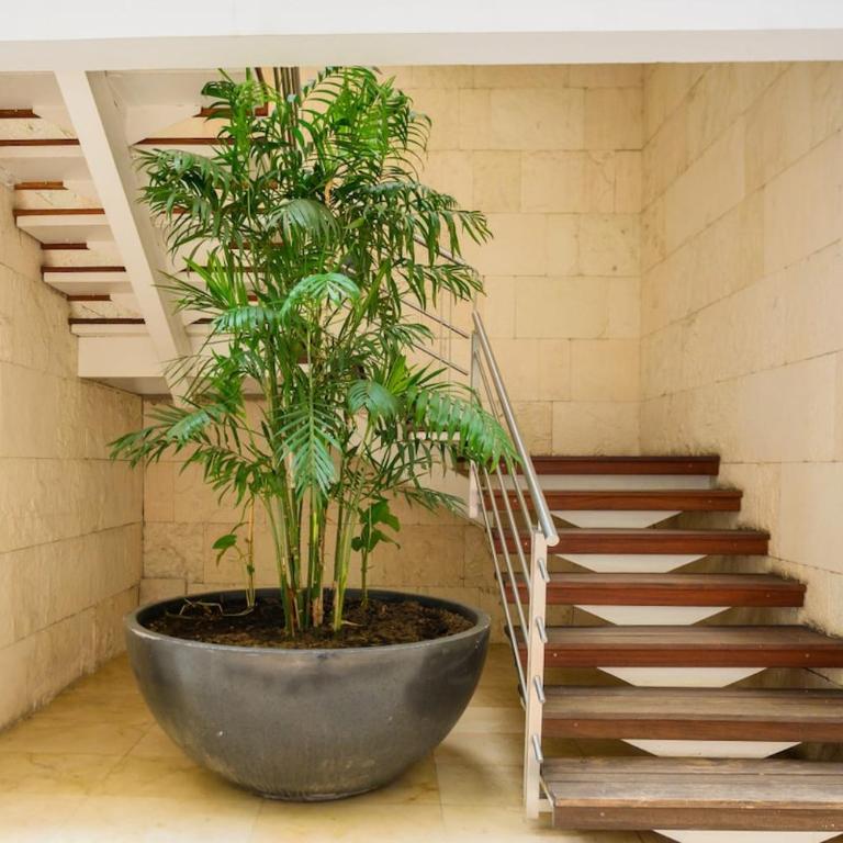 Condesa Residence Amsterdam 304 Inviting 1 Bed, 1 Bath Home Located on Picturesque Amsterdam Avenue - Apartamento - 37