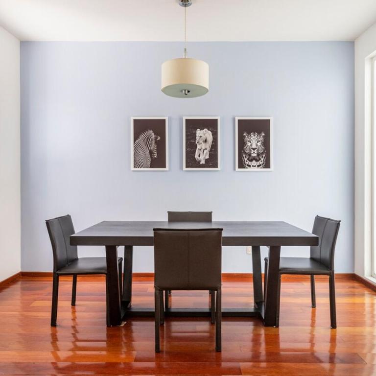 Condesa Residence Amsterdam D Sunny 2Bed 1Bath Apt in Condesa - Apartamento - 1