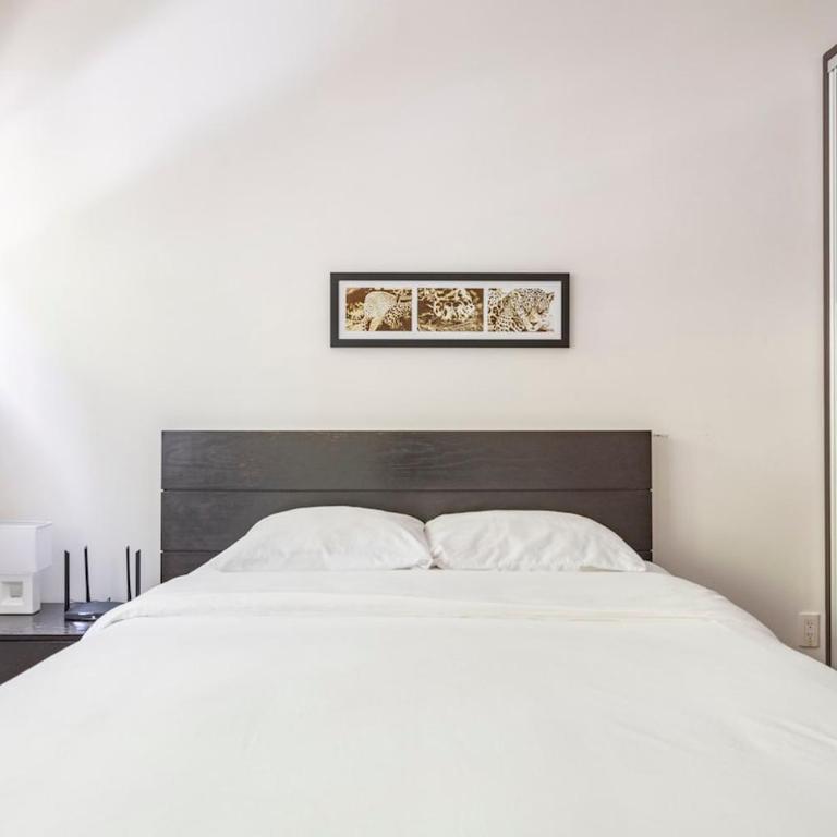 Condesa Residence Amsterdam D Sunny 2Bed 1Bath Apt in Condesa - Apartamento - 5