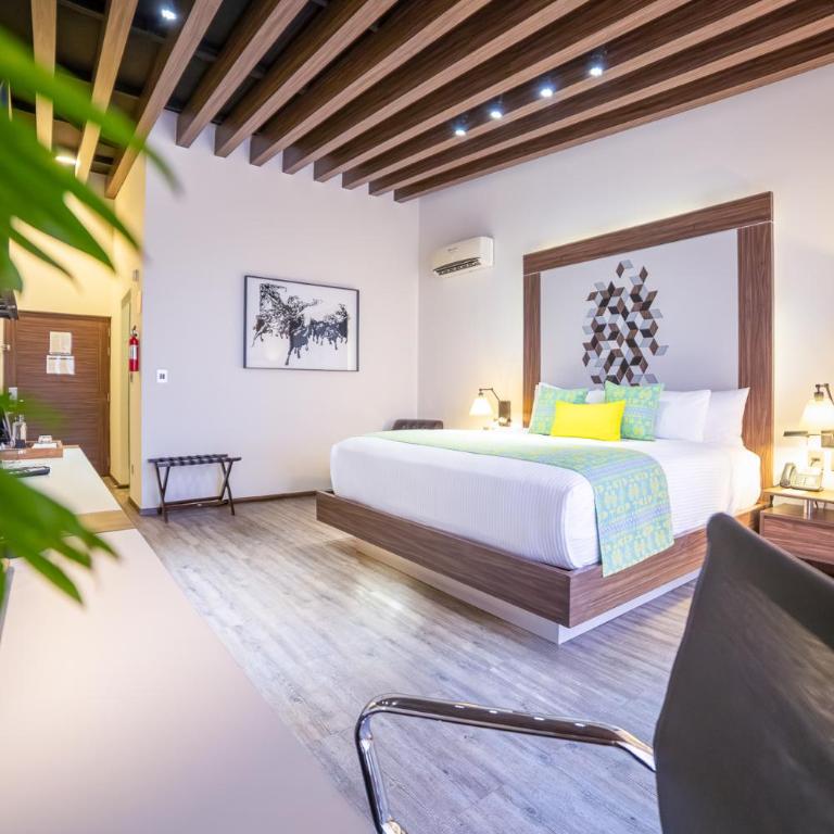 Flow Condesa - Adults Only - Suite Deluxe - 11