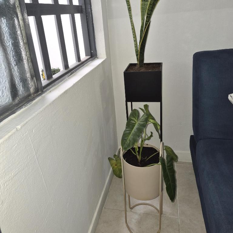 Nuevo Olimpo 201, Apartamento Familiar - Apartamento de 2 dormitorios - 33