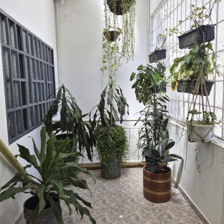 Nuevo Olimpo 201, Apartamento Familiar - Apartamento de 2 dormitorios - 35