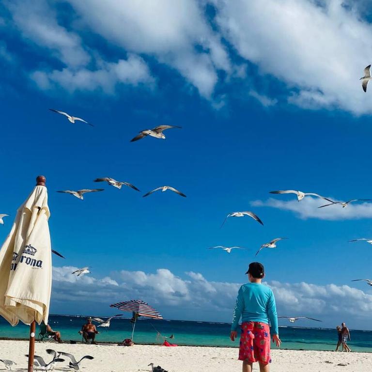Beachfront Views Next to the Pier - Apartamento - 77