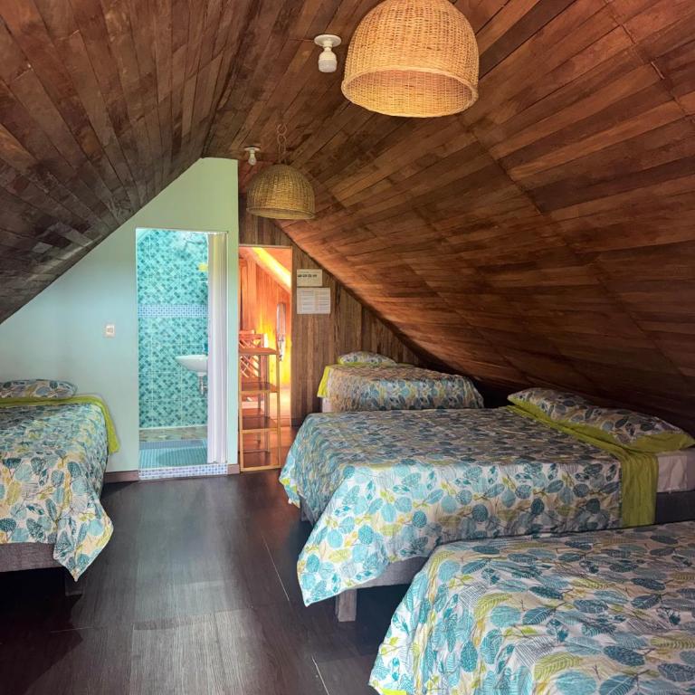 Hotel Calamari Baru - Habitación Familiar con baño privado - 8