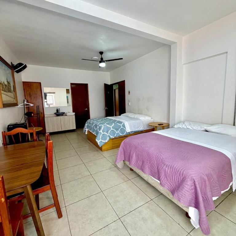 Cozy loft in the heart of Oaxaca - One-Bedroom Apartment - 9