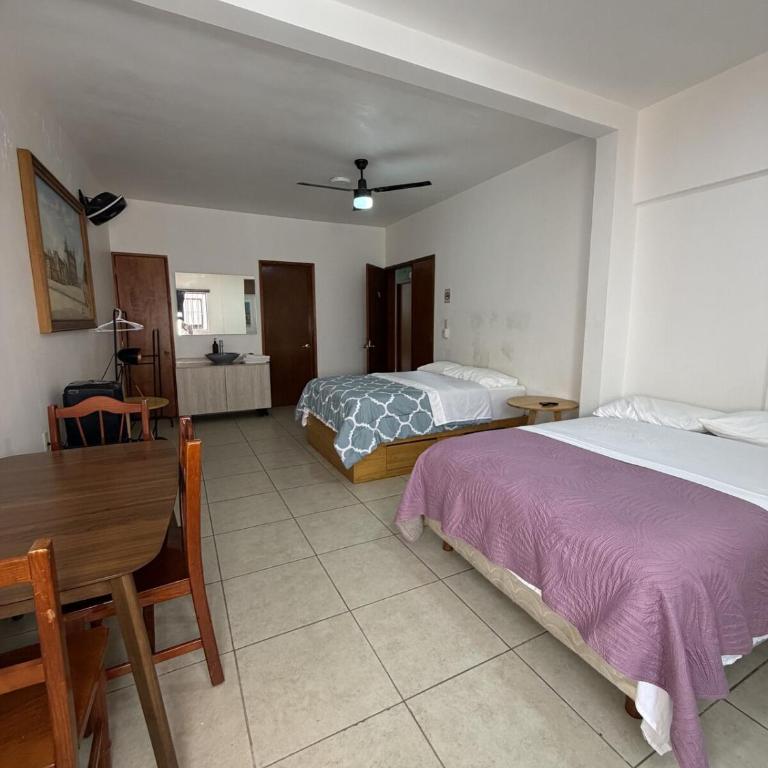 Cozy loft in the heart of Oaxaca - One-Bedroom Apartment - 14