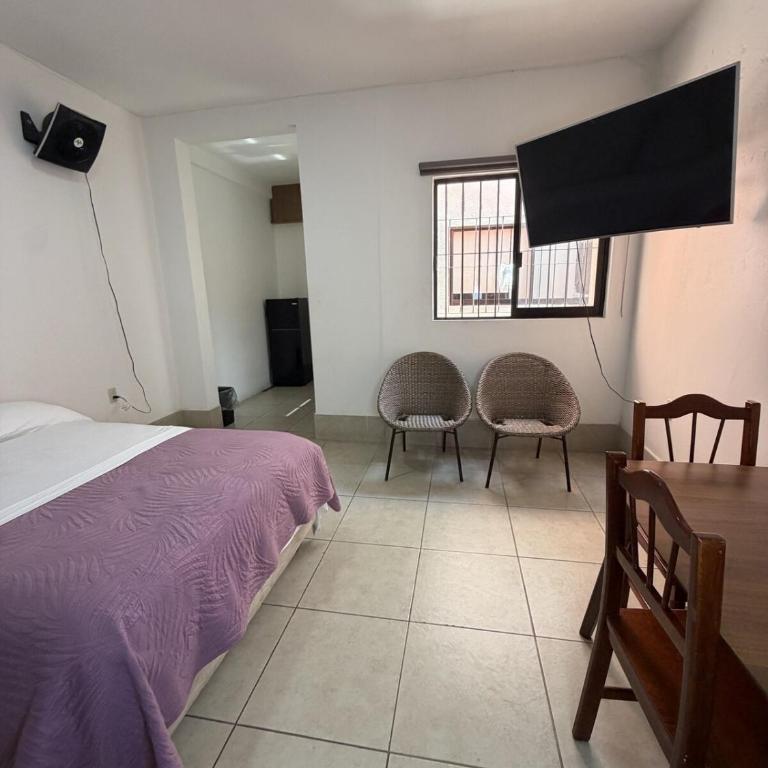 Cozy loft in the heart of Oaxaca - One-Bedroom Apartment - 15
