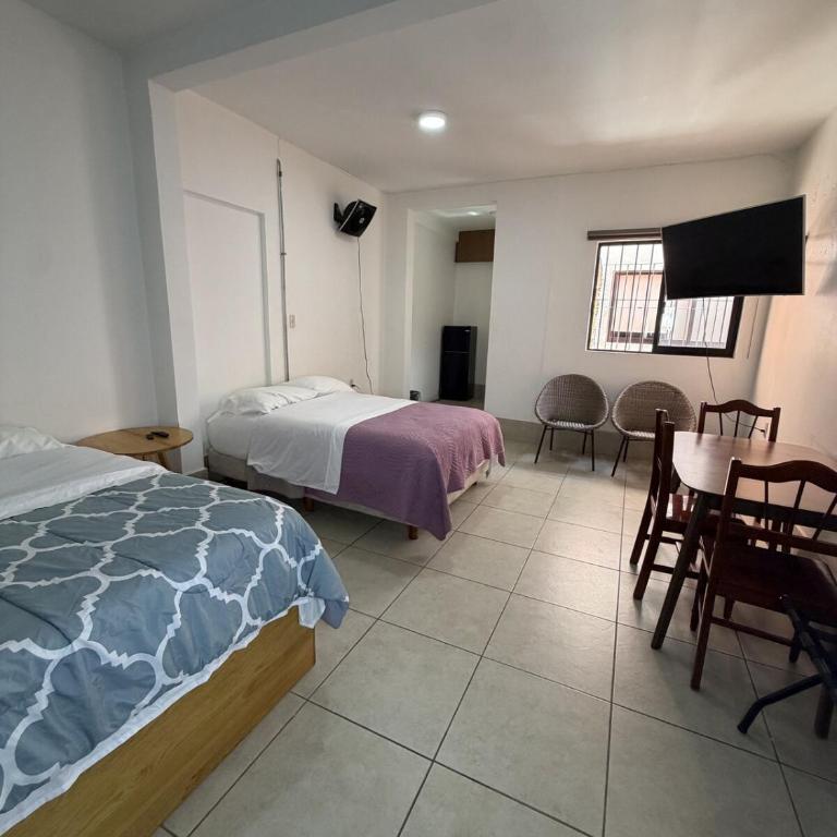 Cozy loft in the heart of Oaxaca - One-Bedroom Apartment - 16