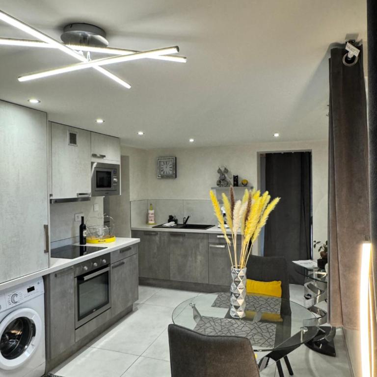 App le petit nid d'abeille cocon pour 2 pers, spa privée et sauna, belle vue avec terrasse - Appartement - 33