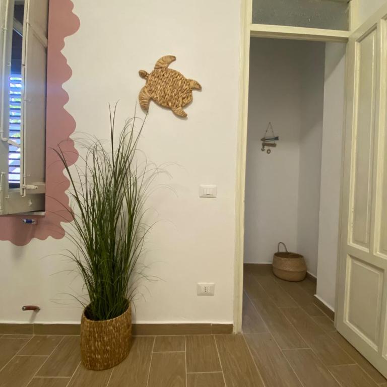 CoralSunsetMondello - Haus mit 1 Schlafzimmer - 8
