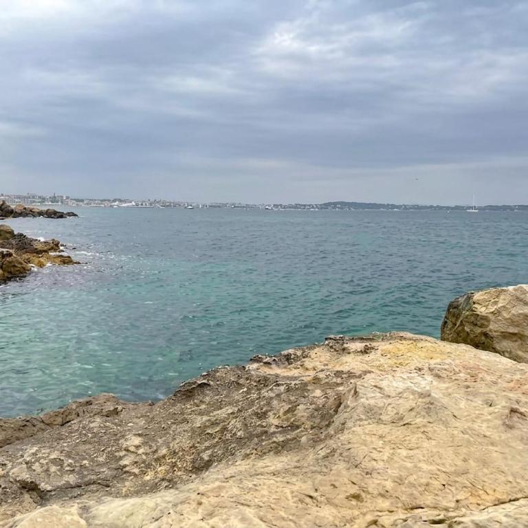 Sea View Apartment with Pool, Tennis and Beach Near Cannes - Appartement 1 Chambre - 39