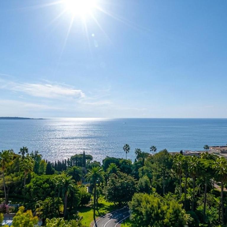 Sea View Apartment with Pool, Tennis and Beach Near Cannes - Appartement 1 Chambre - 45