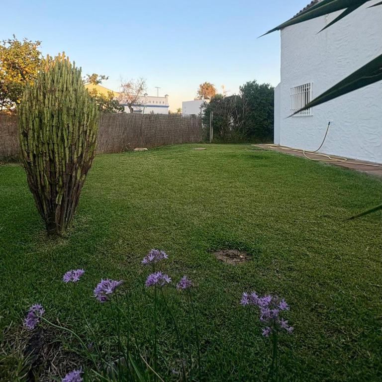 Casa siempreverde - Casa de 3 dormitorios - 29