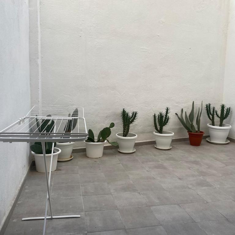 2 Amplia y Exclusiva Vivienda con Terraza - Apartment mit 2 Schlafzimmern - 18