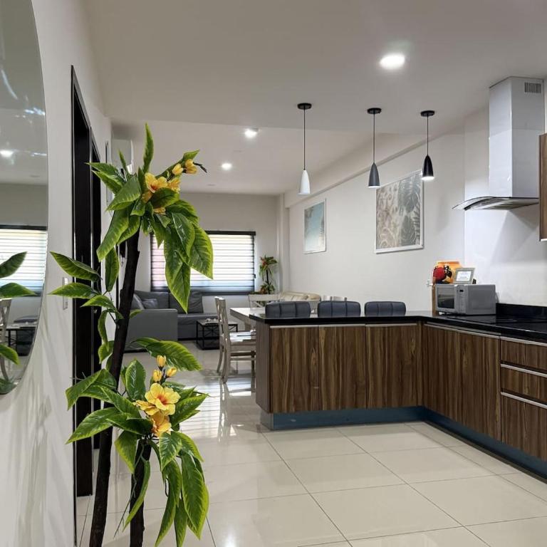 Con Alberca y Jacuzzi a unas Calles del Malecon - Apartamento - 5