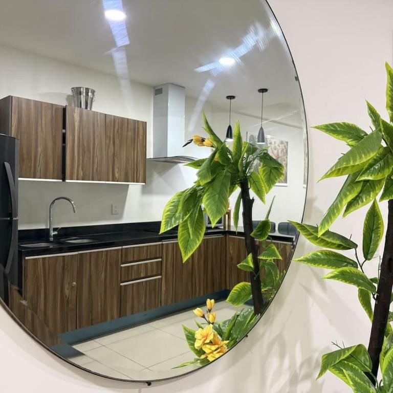 Con Alberca y Jacuzzi a unas Calles del Malecon - Apartamento - 14