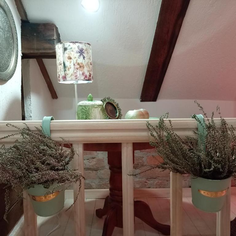 M Dvor 88 - Appartement 2 Chambres - 10