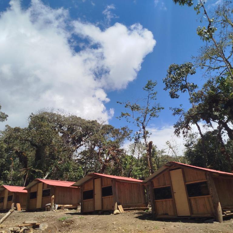 Cabaña LLactapata - Double Room with Mountain View - 4
