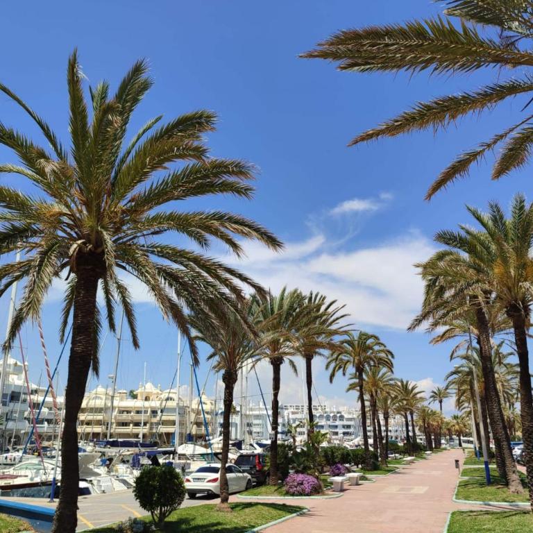 Benalbeach Paradise - One-Bedroom Apartment - 7