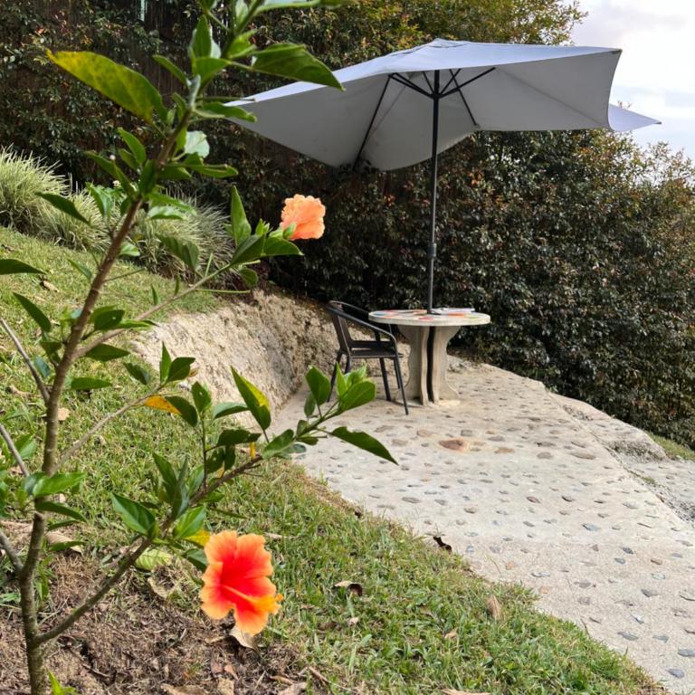 Cabaña chalet con jacuzzi privado, cerca de Medellín - Habitación Doble con vistas al jardín - 5