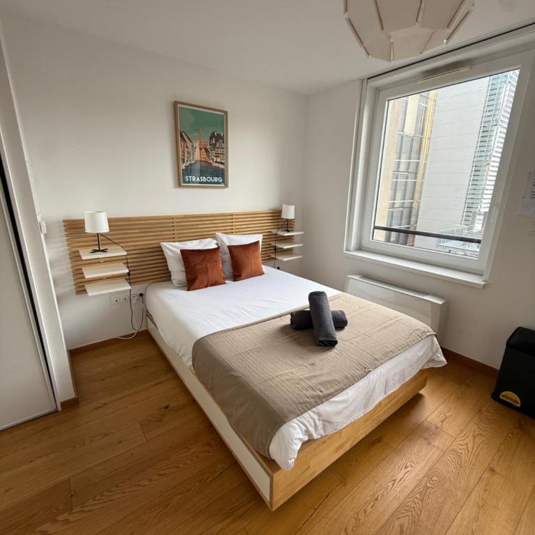 Studio plein centre de Strasbourg - One-Bedroom Apartment - 1