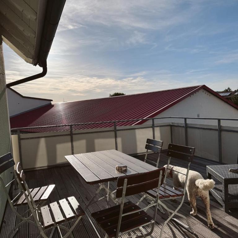 Central apartment with roof terrace near Lake Constance - Apartment mit 3 Schlafzimmern - 7