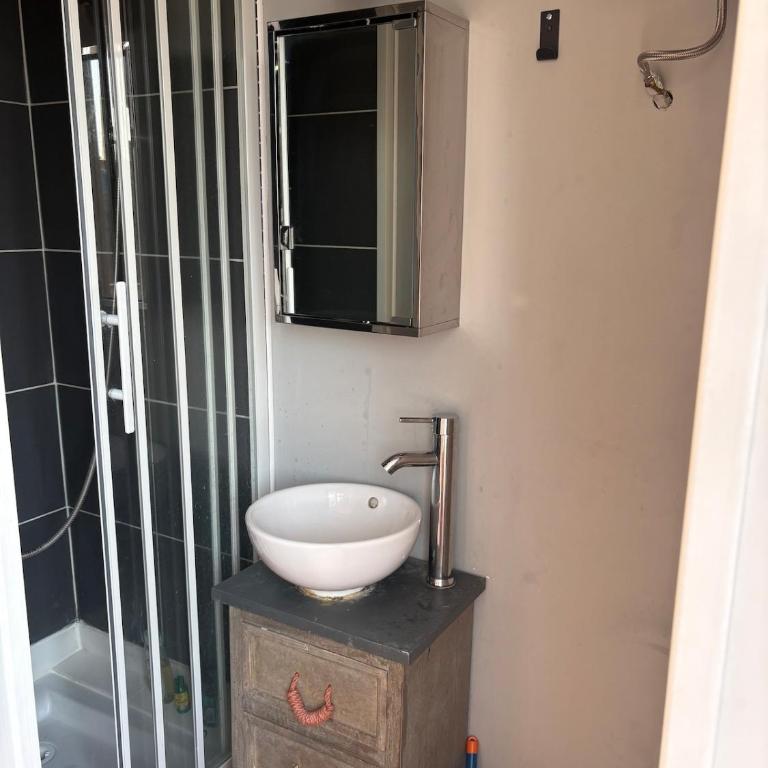 Appartement - Le Trianon - Apartment mit 1 Schlafzimmer - 4