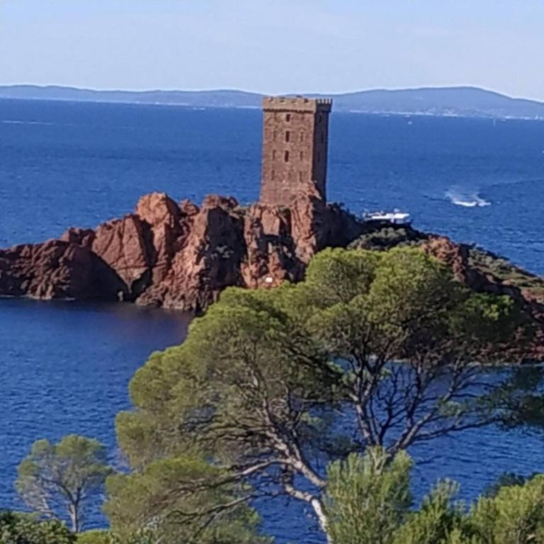 Charming one-bedroom apartment, quiet, in Fréjus, near Estérel and beaches - Appartement 1 Chambre - 6