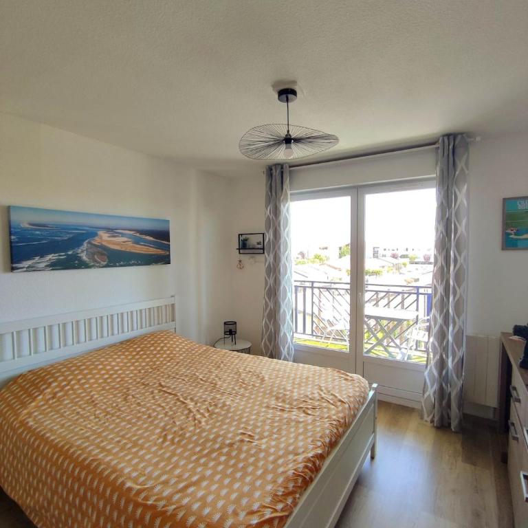 L'Oyat du Bassin - Appartement 1 Chambre - 1