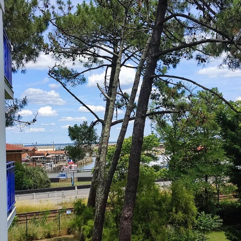 L'Oyat du Bassin - Appartement 1 Chambre - 16