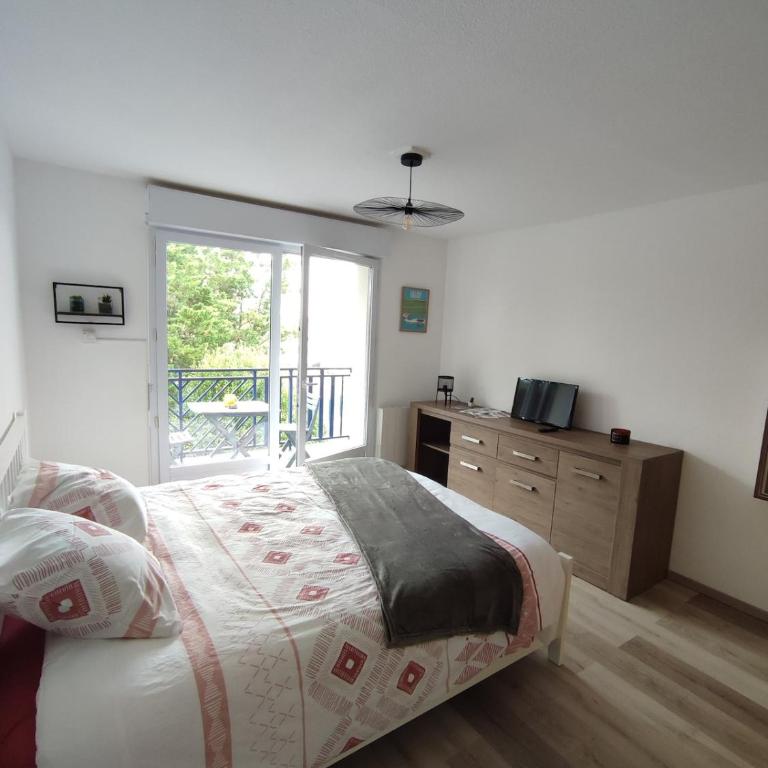 L'Oyat du Bassin - Appartement 1 Chambre - 4