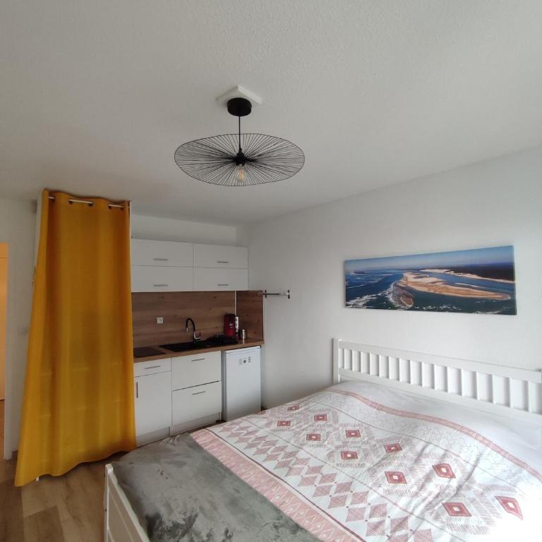 L'Oyat du Bassin - Appartement 1 Chambre - 5
